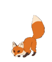 jumping fox